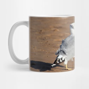 Seagull in a windy day with ruffled feathers Mug